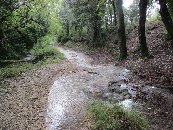 Balade à Mérindol (84)