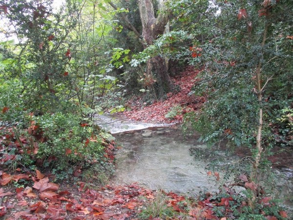 Balade à Mérindol (84)