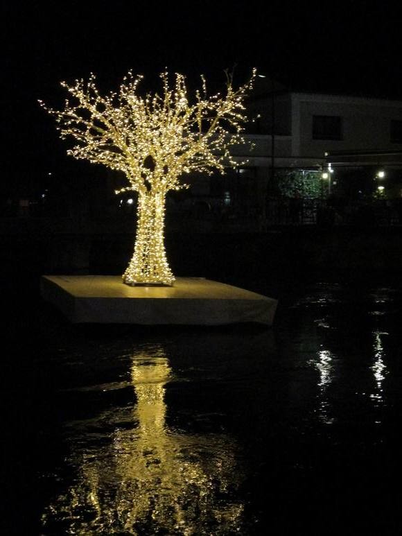 Isle sur la Sorgue (84)